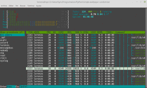 Monitorizar nuestro sistema con htop. Seguimiento. Monitorizar nuestro sistema con htop. Seguimiento.