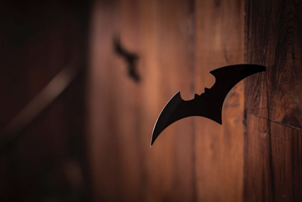 bat un cat con alas